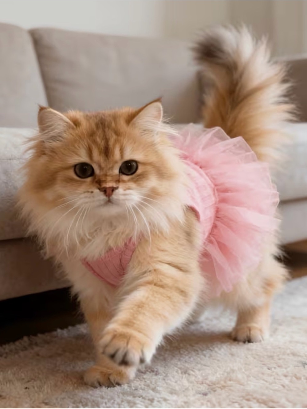 🛍️ 3 for $10 🛍️ Pink Tulle Pet Dress - Elegant Dog or Cat Sundress Tutu - Picture 5 of 10